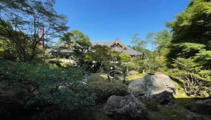 APP下载-日本阿含･桐山杯许家元首度加冕，井山事不过“五”